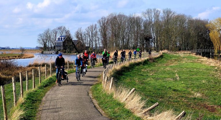 cf55ebf0 59a9 4a0e ae16 2b00e769bab6jpg 768x417