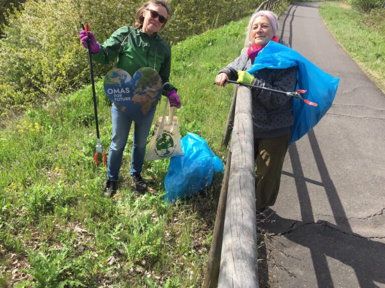 Muellsammeln Fruehjahr 221 768x576