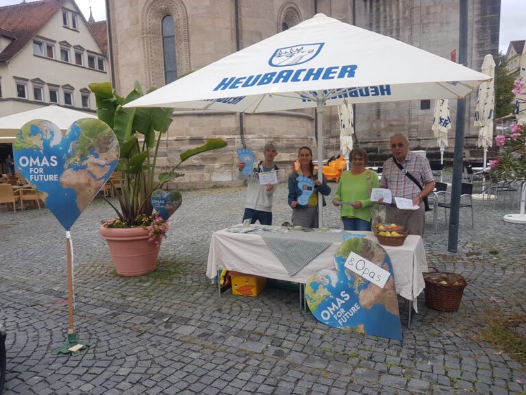 20220910 101311 768x576