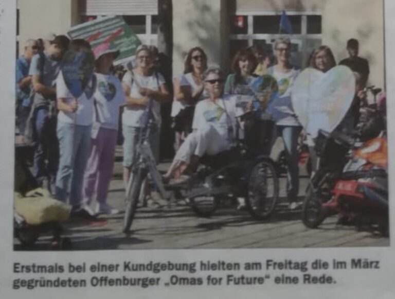 Zeitung Klimastreik 768x581