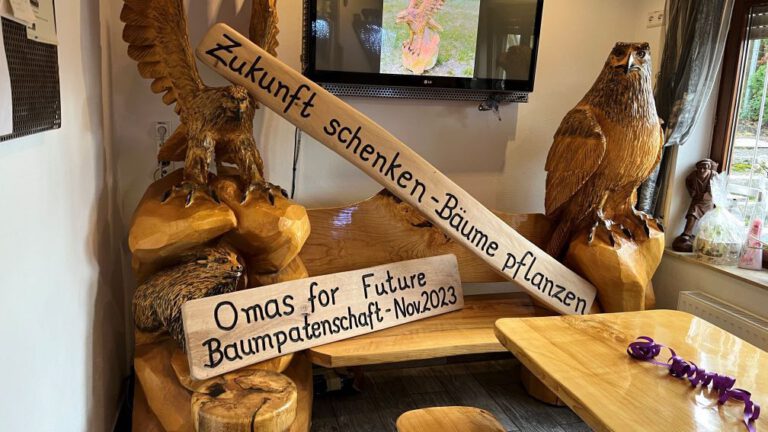 Beschilderung der Baumpflanzaktion Nov 2023 klein 768x432