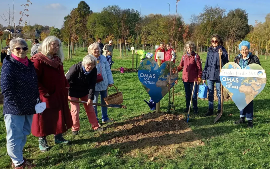 Kamen soll grüner werden
