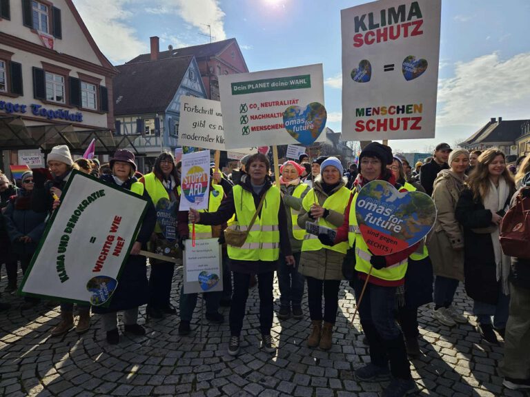 2025Feb DemoOG Offenburg©O4F 768x576