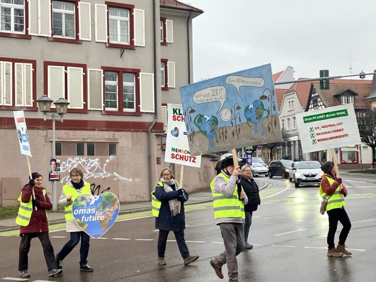 2025Februar Ampelaktion Offenburg©O4F 2 768x576