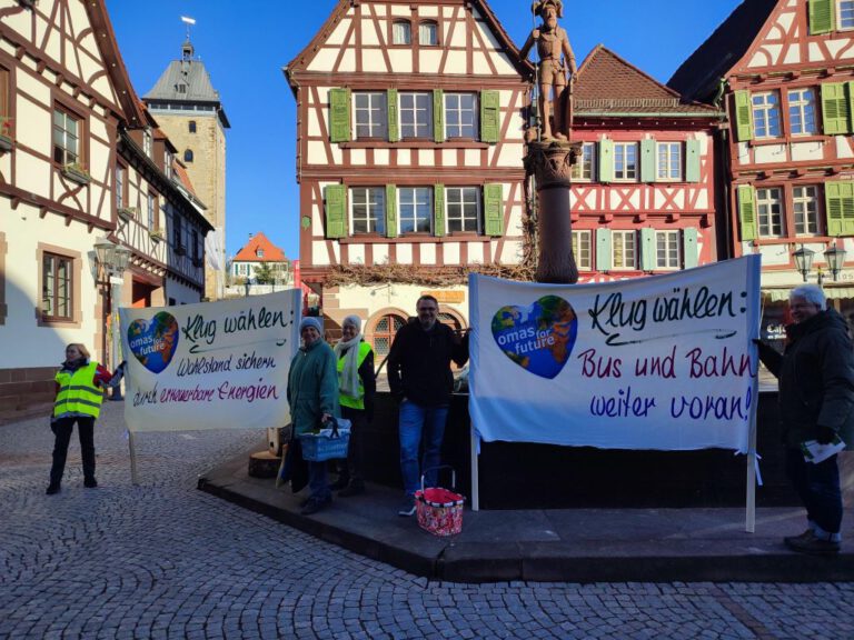Banneraktion_1.2.25_Marktplatz_Bretten©O4F
