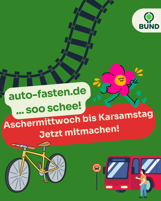 Auto-Fasten 2025