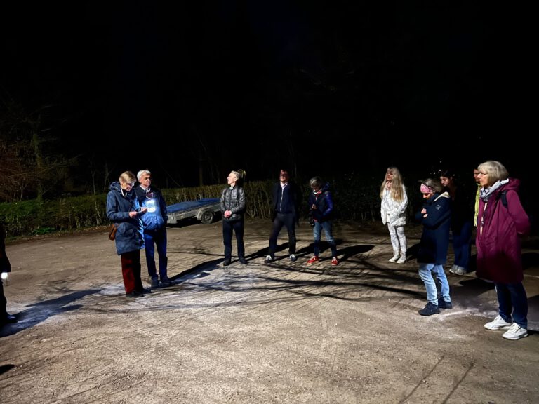 Earth Hour 22.03.25 ©O4F Ettlingen 768x576