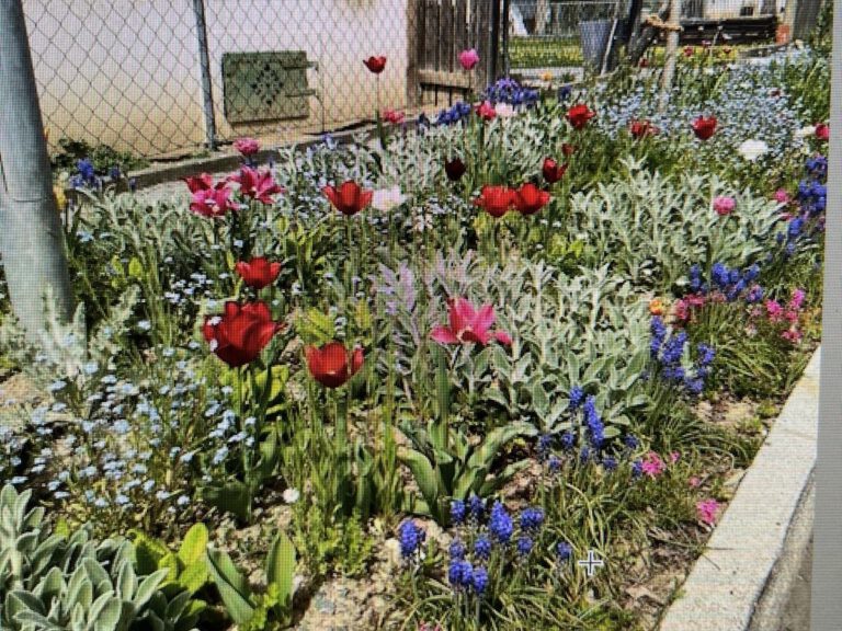 signal 2025 02 20 151354 004 1 768x576