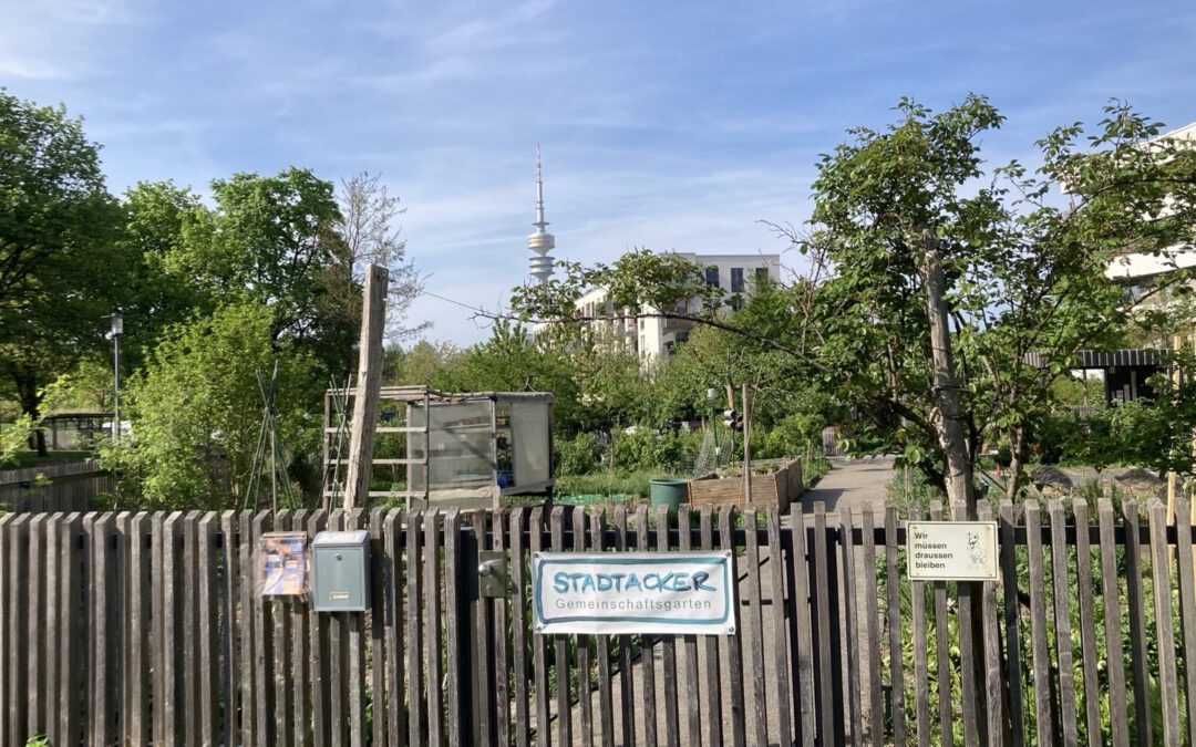 Jane`s Walk Stadtacker Regionalgruppe München 2025,©O4F