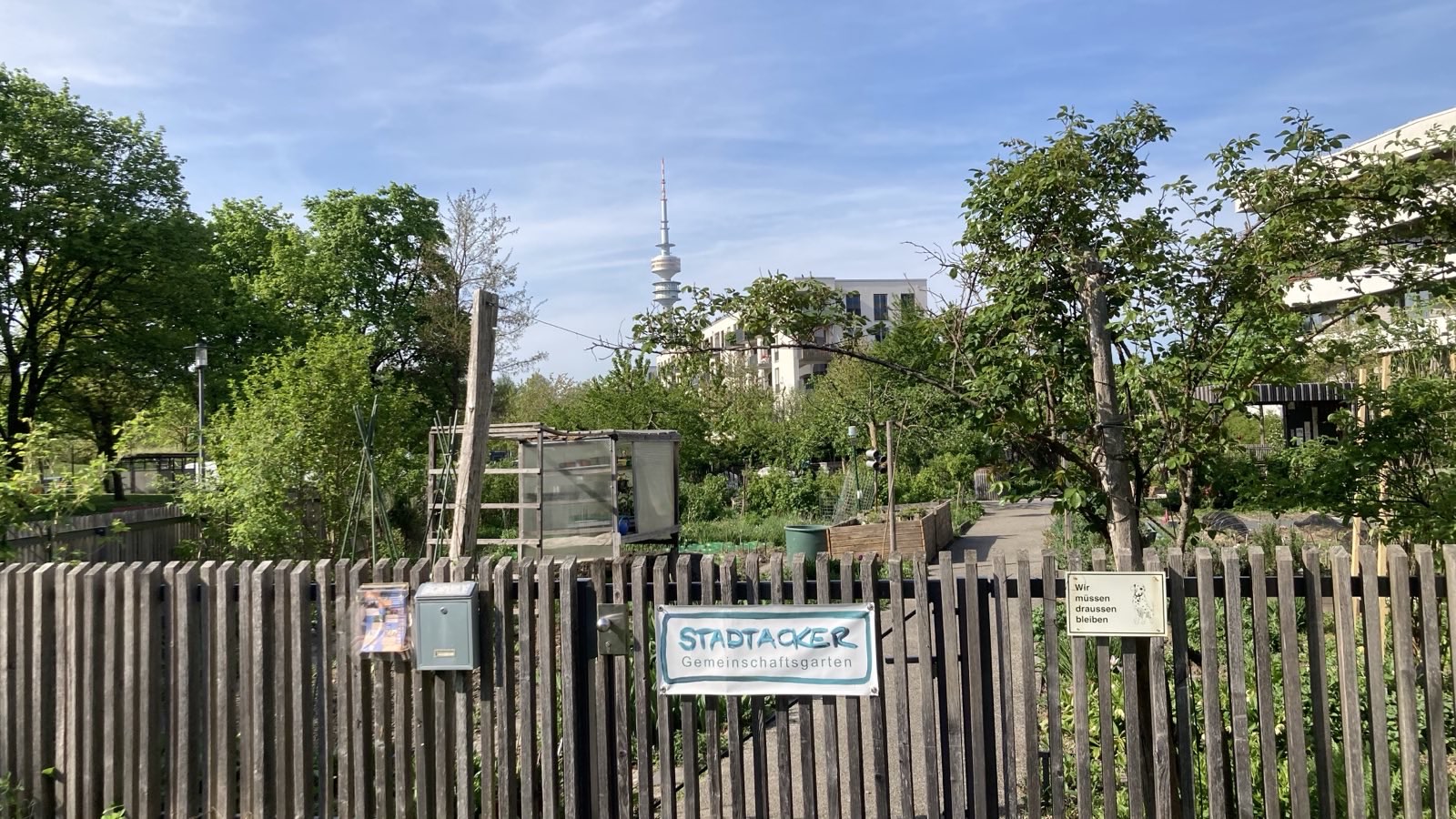 Ein Gemeinschaftsgarten mit Bäumen, Pflanzen und kleinen Gartenstrukturen, umgeben von einem Holzzaun. Auf einem Schild am Zaun steht STADTACKER Gemeinschaftsgarten. Im Hintergrund erhebt sich ein Stadtturm unter blauem Himmel.