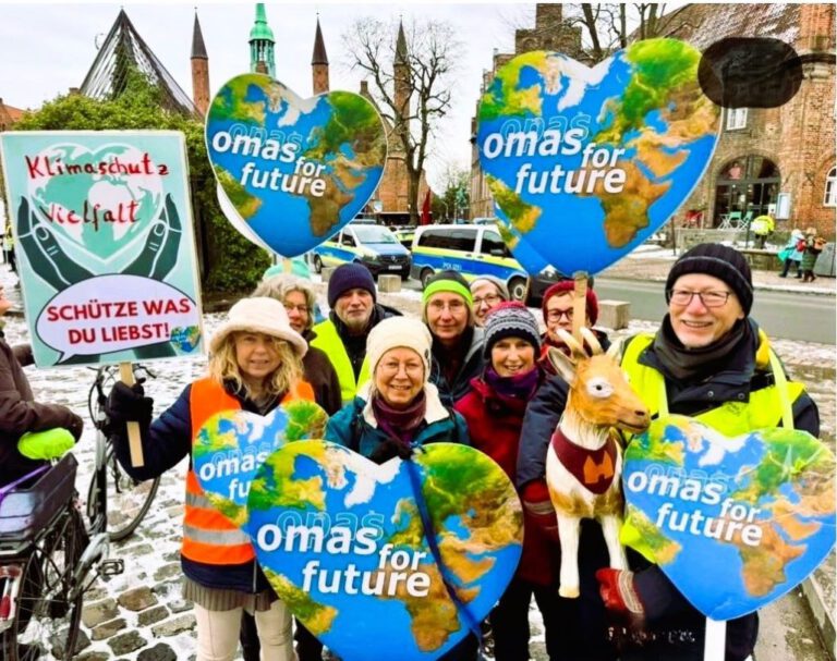 Klimastreik Februar2025 FreieZiegeLuebeck O4F 768x607