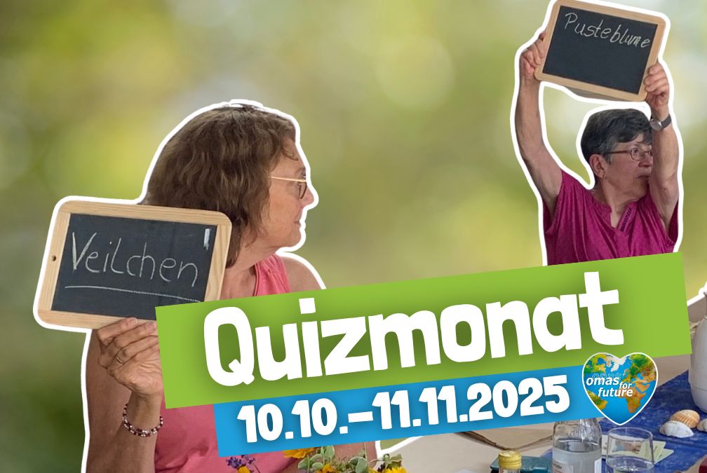 Quizmonat: 10.10. bis 11.11.2025