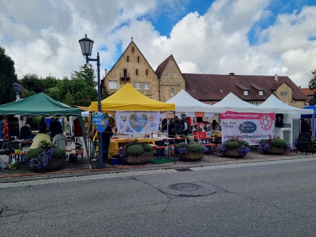 Kommen Sie am Sonntag, 14. September nach Oberderdingen!