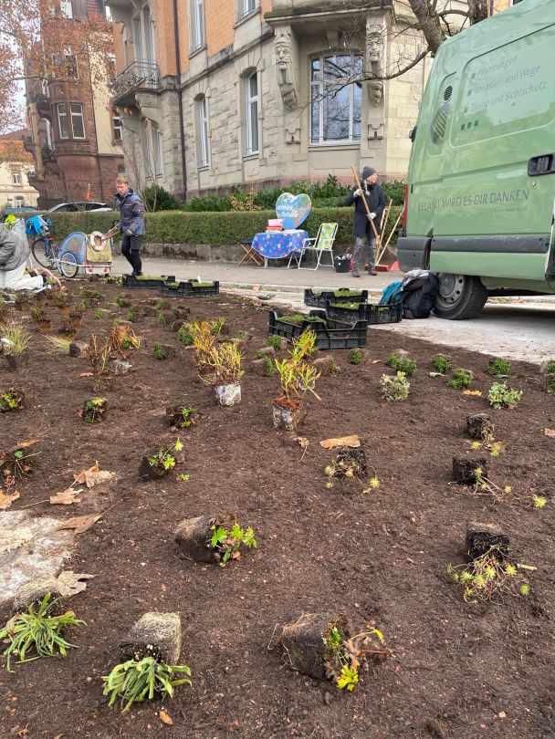 20251107 Bepflanzung2©O4F