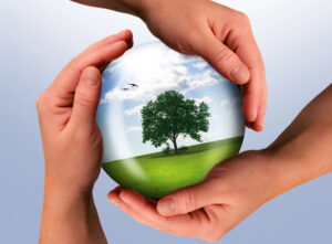 Zwei Hände umschließen sanft eine Kugel mit dem Bild eines grünen Baumes in einem grasbewachsenen Feld unter blauem Himmel, das den Umweltschutz und die Pflege der Natur symbolisiert.