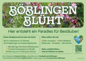 Schild mit der Aufschrift Böblingen blüht: Hier entsteht ein Paradies für Bestäuber! vor Wildblumen; mit Infos zu Wildpflanzen, Naturhilfe, Klimaschutz und der Initiative Omas for Future in Böblingen.