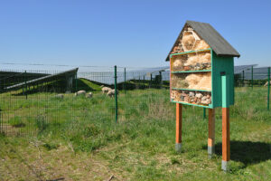 Ein hölzernes Insektenhotel steht auf einer Wiese in der Nähe eines Drahtzauns. Im Hintergrund sind Fotovoltaik-Solarmodule und grasende Schafe unter einem klaren blauen Himmel zu sehen.