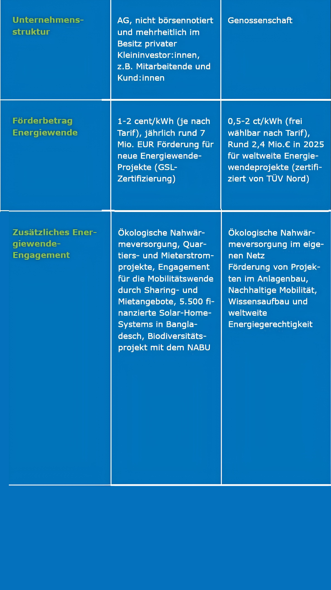 Eine dreispaltige Vergleichstabelle zeigt die Unternehmensstruktur, den Energiepreis und die Zusatzleistungen von drei Organisationen; Details sind Rechtsform, Tarife, Zertifizierungen und unterstützte ökologische Projekte.