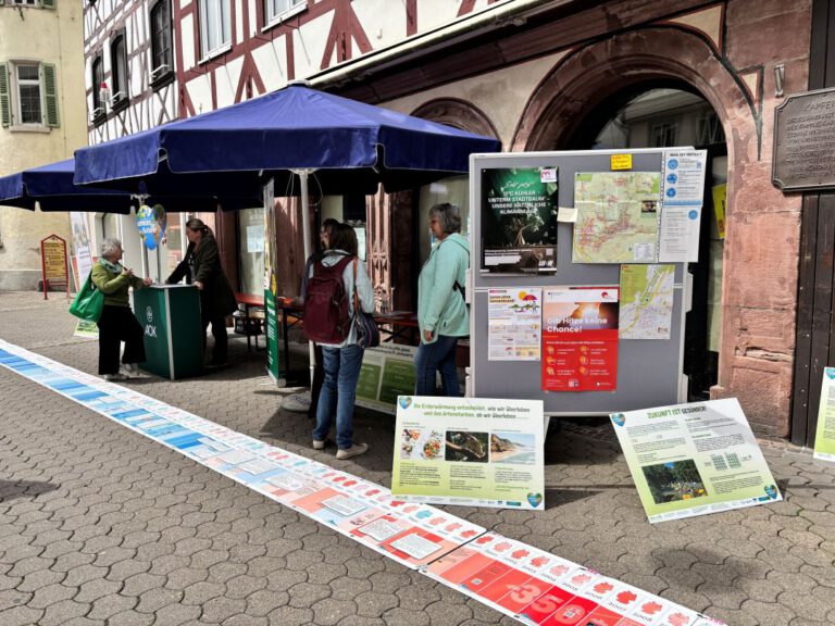 2026 06 10 Mosbach Stand und Zeitstrahl©O4F 768x576